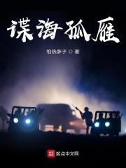 谍海孤雁 谍海孤雁