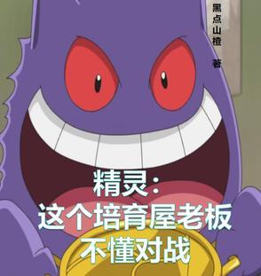 精灵：这个培育屋老板不懂对战