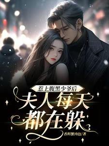 惹上腹黑少爷后,夫人每天都在躲 惹上腹黑少爷后,夫人每天都在躲