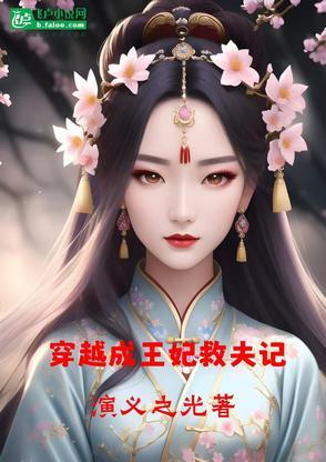 穿越成王妃救夫记 穿越成王妃救夫记