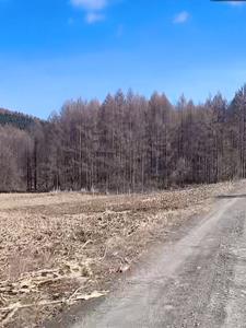 四合院之建国后我是大资本家 四合院之建国后我是大资本家