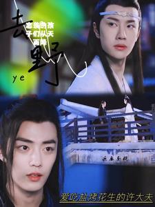 忘羡的孩子们从天而降 忘羡的孩子们从天而降