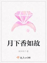 月下香如故 月下香如故