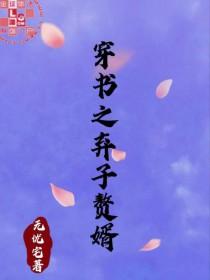 穿书之弃子赘婿 穿书之弃子赘婿