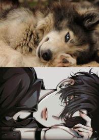 求娇(NPH带图) 求娇(NPH带图)