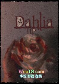 【HP】大丽花 【HP】大丽花