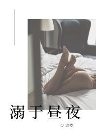 溺于昼夜(高H NP) 溺于昼夜(高H NP)