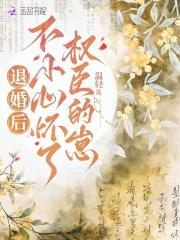 退婚后,不小心怀了权臣的崽 退婚后,不小心怀了权臣的崽