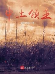 魔戒:中土领主 魔戒:中土领主