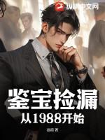 鉴宝捡漏从1988开始 鉴宝捡漏从1988开始