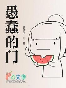 愚蠢的门 愚蠢的门