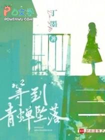 等到青蝉坠落 等到青蝉坠落